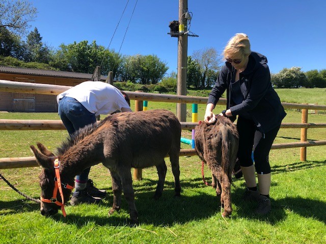 dinky18 | Dinky Donkeys Experience